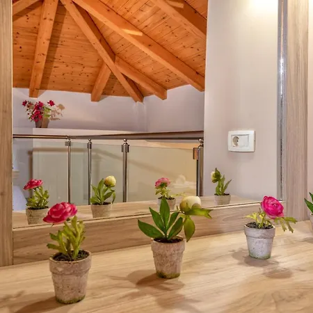 Anemoni Apartment Laganas