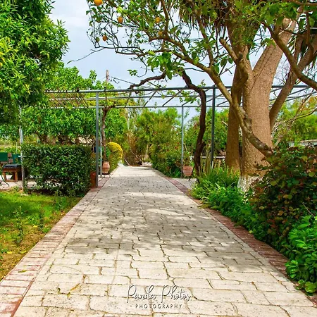 Apartment Zante Apts