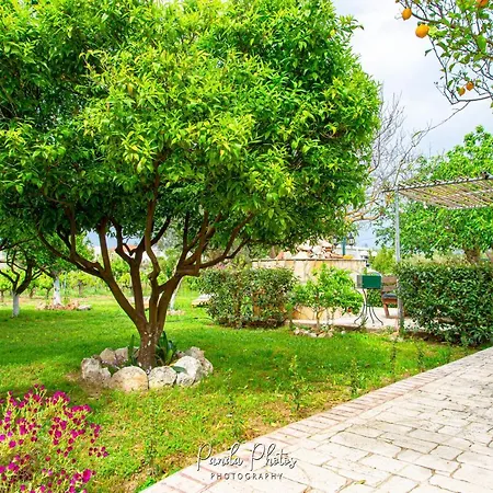 Apartment Zante Apts Laganas
