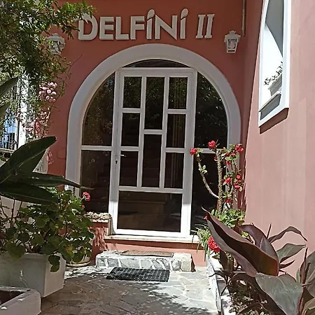 Delfini 2 *