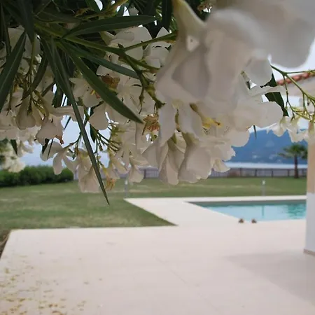 Villa Luxury Zante Zante Vista Private Pool Seaviews Agios Sostis