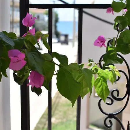 Ephelia Gold Aparthotel Laganas
