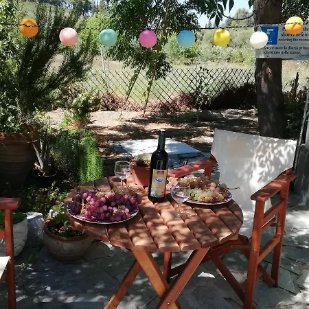 Appartement Daizy Boutique Laganas