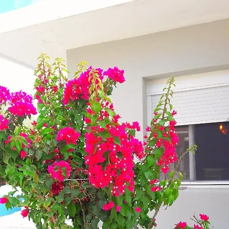 Holiday home Casa Katina , In Lagana, Agrilia Area