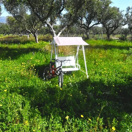 Holiday home Casa Katina , In Lagana, Agrilia Area