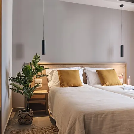 Cactus Hotel 3*