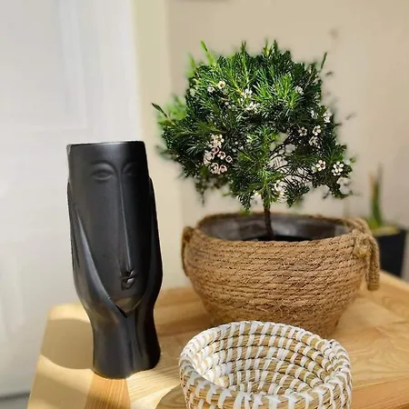 Apartment Eora *