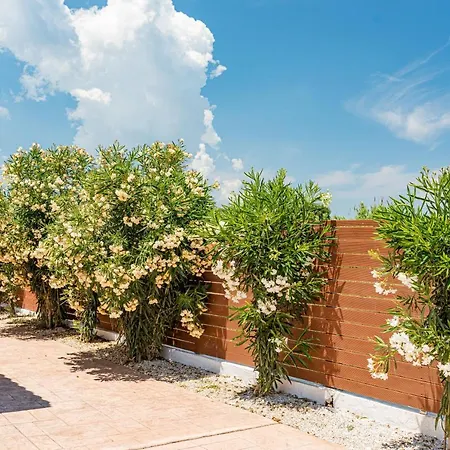Villa Blossom