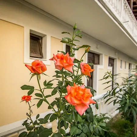 Aparthotel Leonidas