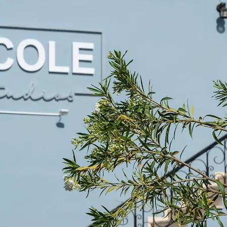 Aparthotel Nicole