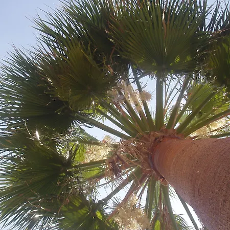 Paradise Aparthotel 3*