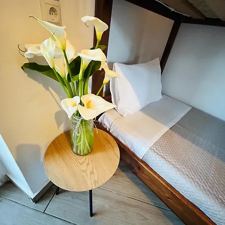 Apartment Pedro Navarino Vi *
