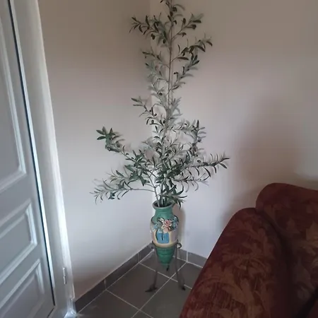 Olive Holiday home *