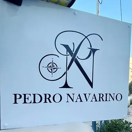 Apartment Pedro Navarino Vii