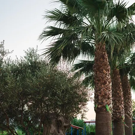 Aparthotel Village & Family 3*