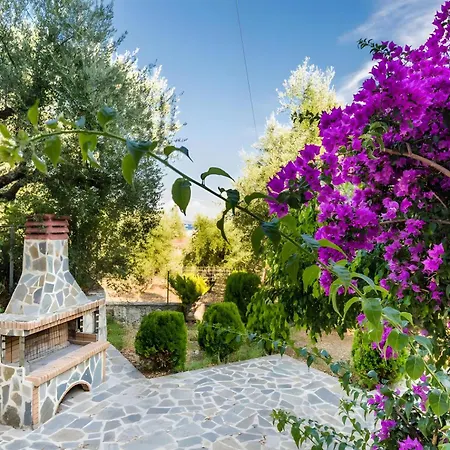 Guest house Tamar Apartments, *