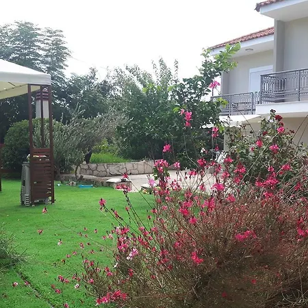 Apartment Alba Boutique *