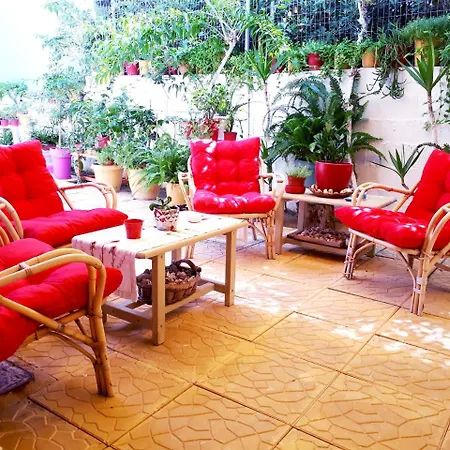 Zante Dahlia Hotel Laganas