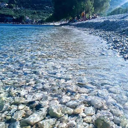 Zante Dahlia Hotel Laganas