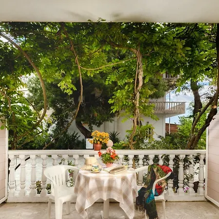 Pavlos Hotel