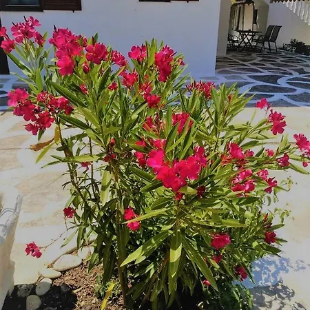 Annamaria House *