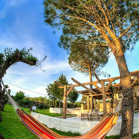 Luxury Dream * Laganas