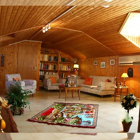 Ionis Art 4*