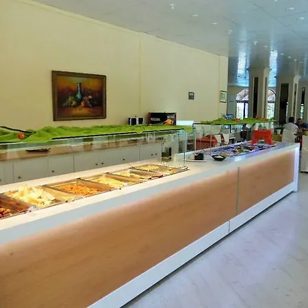 Hotel Pallas 4*