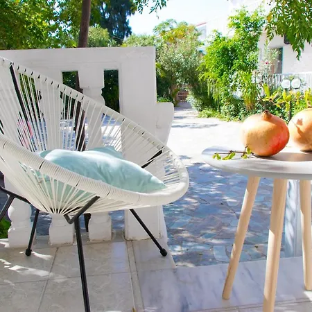 Apartment Daizy Boutique Laganas